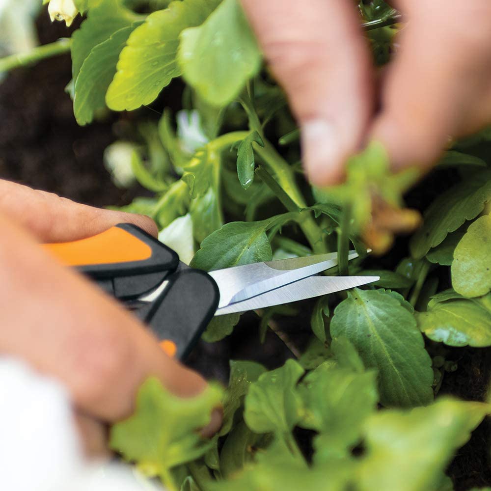 Fiskars Softouch Micro-Tip Pruning Snips - Non-Coated Blades for Precise Trimming of Delicate Plants